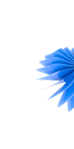 Petal