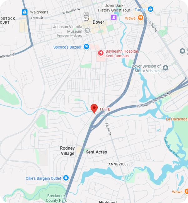 Map showing ThinkPalm INC in Dover, Delaware