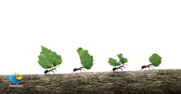 Ant Philosophy - ThinkPalm's Nature Driven Success Mantra