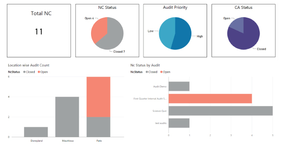 Real-Time Auditing - Intuitive Dashboard