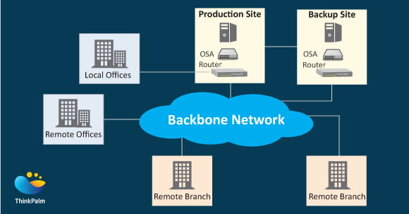 Mainframe-Based Network