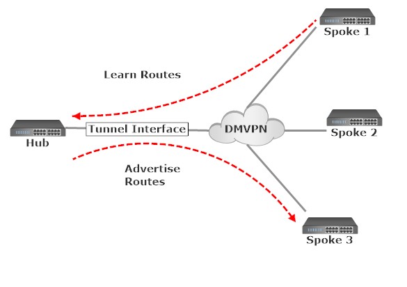 Dynamic Multipoint Virtual Private Network 