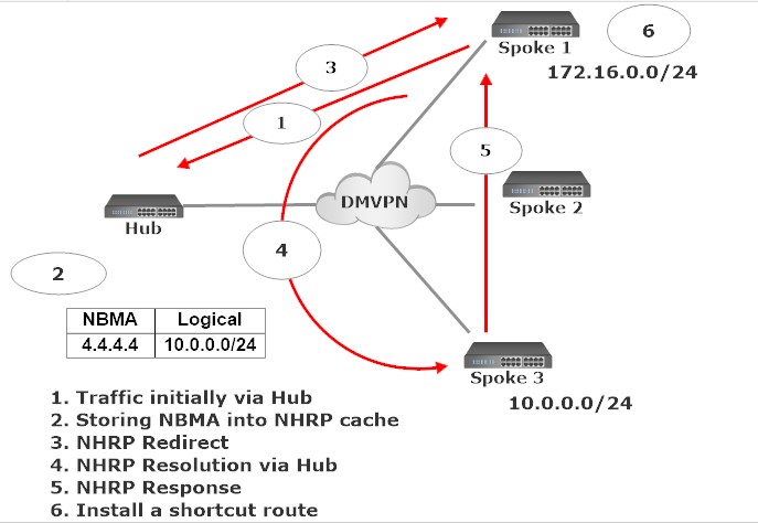 Dynamic Multipoint Virtual Private Network 