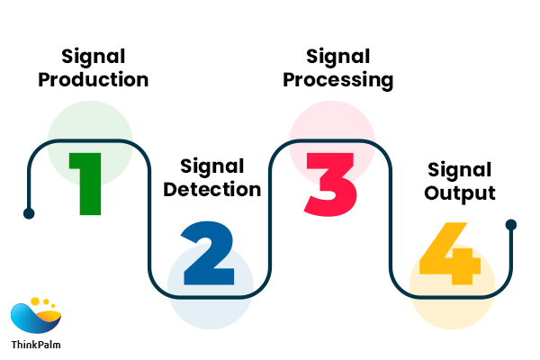 Four Phases in Brain-computer Interfaces