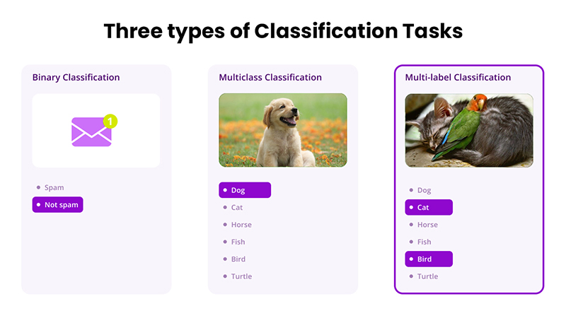 Classification