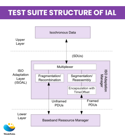 Test Suite Structure of IAL