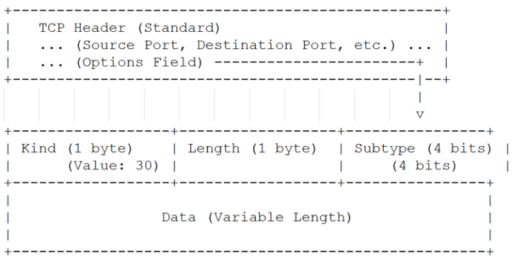 MPTCP Header Structure